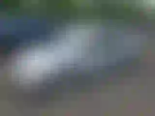 Vehicle Image- 2006 Honda Civic