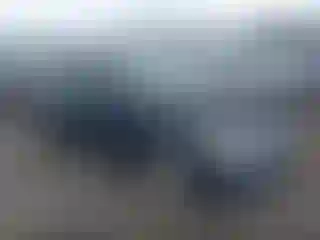 Vehicle Image- 2006 Honda Civic