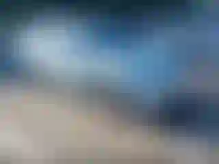 Vehicle Image- 2007 Honda Civic