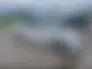 Vehicle Image- 2008 Honda Civic