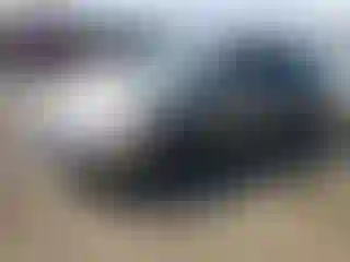 Vehicle Image- 2008 Honda Civic