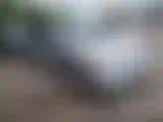 Vehicle Image- 2006 Honda Civic