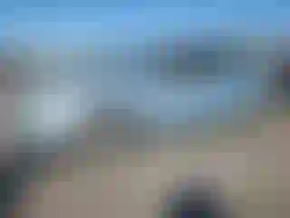 Vehicle Image- 2006 Honda Civic