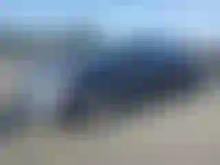 Vehicle Image- 2008 Honda Civic