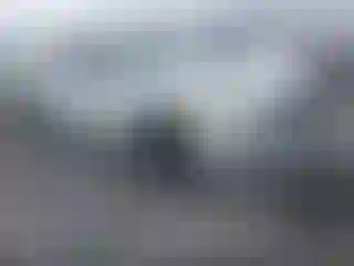 Vehicle Image- 2018 Honda Civic