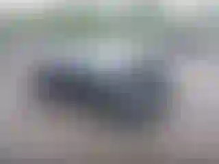 Vehicle Image- 2022 Honda Civic