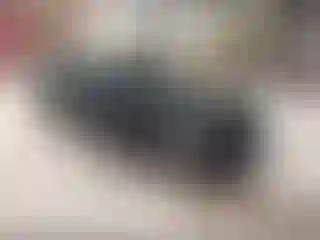 Vehicle Image- 2022 Honda Civic