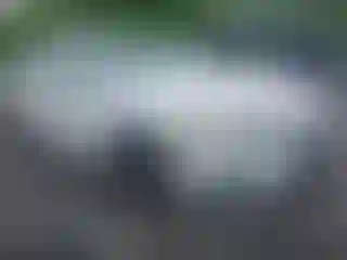 Vehicle Image- 2022 Honda Civic