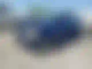 Vehicle Image- 2010 Honda Fit
