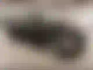 Vehicle Image- 2006 Mazda Mazda 3