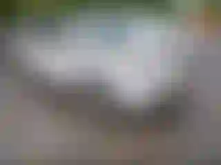 Vehicle Image- 2008 Mazda Mazda 3