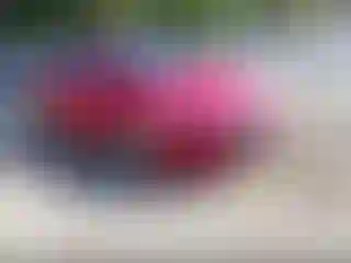 Vehicle Image- 2013 Mazda Mazda 3