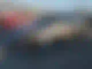 Vehicle Image- 2013 Mazda Mazda 3