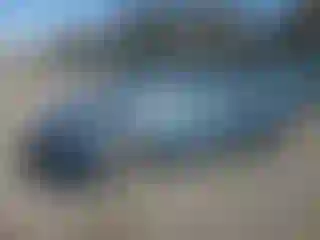 Vehicle Image- 2010 Mazda Mazda 3