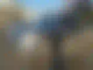 Vehicle Image- 2010 Mazda Mazda 3