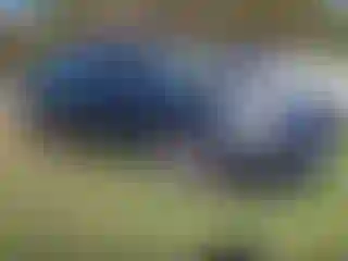 Vehicle Image- 2013 Mazda Mazda 3