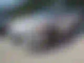 Vehicle Image- 2012 Mazda Mazda 3