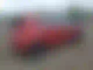 IMPORTOWO.pl
