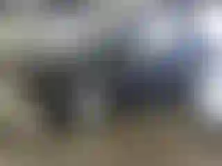 IMPORTOWO.pl