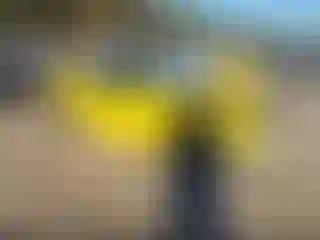 Vehicle Image- 1992 Mazda MX-5