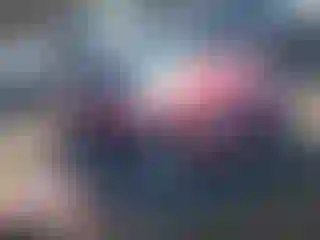 Vehicle Image- 2008 Mazda MX-5