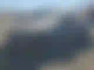 Vehicle Image- 2006 Mazda MX-5