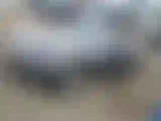 Vehicle Image- 2006 Mazda MX-5