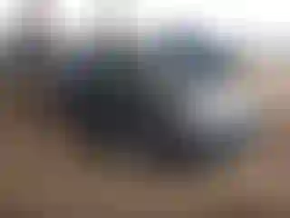 Vehicle Image- 2008 Mazda MX-5