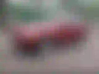 IMPORTOWO.pl