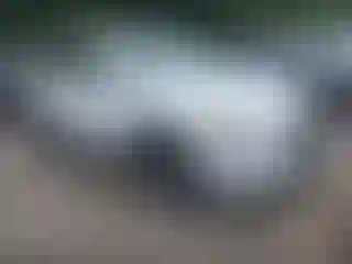 Vehicle Image- 2016 Mazda CX-5