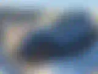 Vehicle Image- 2016 Mazda CX-5