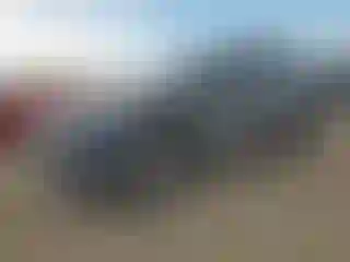 Vehicle Image- 2021 Mazda CX-5