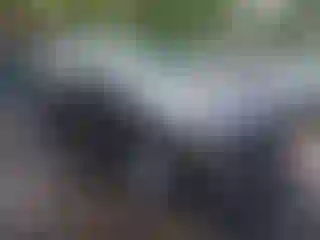 IMPORTOWO.pl