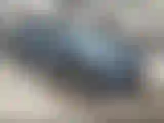 Vehicle Image- 2019 Mazda CX-5