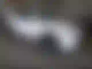 Vehicle Image- 2021 Mazda CX-5