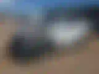 Vehicle Image- 2023 Mazda CX-5