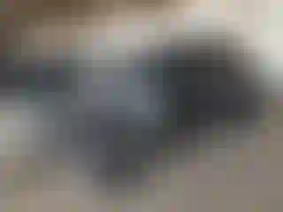 Vehicle Image- 2024 Mazda CX-5