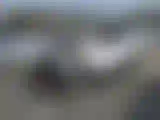 IMPORTOWO.pl