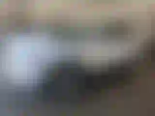 Vehicle Image- 2009 Mazda CX-9