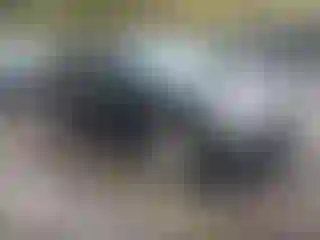 Vehicle Image- 2010 Mazda CX-9