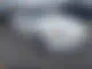 Vehicle Image- 2004 Nissan 350Z