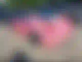 IMPORTOWO.pl