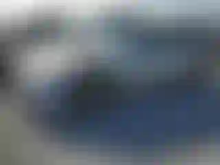 Vehicle Image- 2004 Nissan 350Z