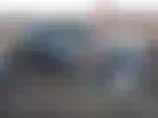 Vehicle Image- 2006 Nissan 350Z