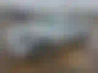 Vehicle Image- 2011 Nissan 370Z