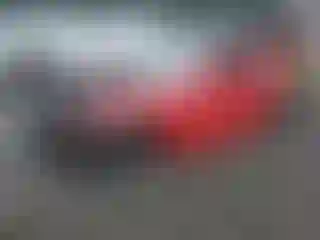 Vehicle Image- 2010 Nissan 370Z