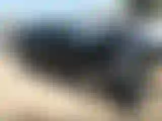 Vehicle Image- 2021 Nissan Rogue
