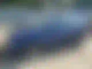 Vehicle Image- 2022 Nissan Rogue