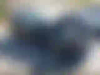 Vehicle Image- 2021 Nissan Rogue