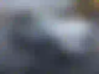 Vehicle Image- 2020 Nissan Rogue